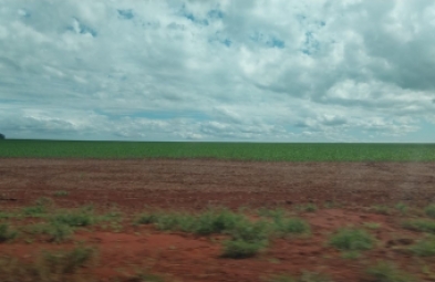 Fazenda para venda em Dourados